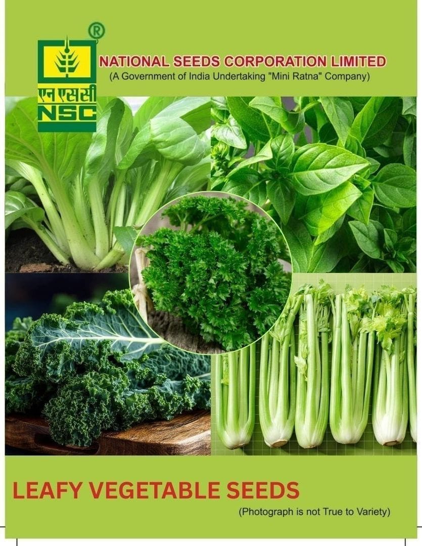 NSC Leafy Vegetable Seeds Combo Pack - 15gm