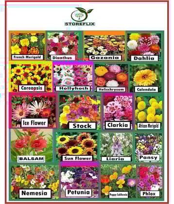 STOREFLIX SUPER SAVIOR 20 DIFFERENT TYPE FLOWER PLANT SEEDS COMBO PACK MORE THAN 500 SEEDS WITH FREE COCOPEAT AND USER MANUAL Seed (500 per packet)