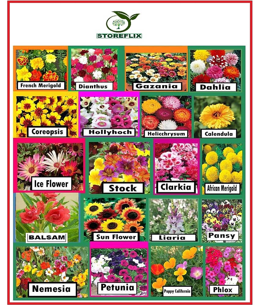 STOREFLIX SUPER SAVIOR 20 DIFFERENT TYPE FLOWER PLANT SEEDS COMBO PACK MORE THAN 500 SEEDS WITH FREE COCOPEAT AND USER MANUAL Seed (500 per packet)