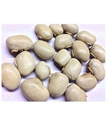 Nutrixia Food Kauch Beej/??? ???/Konch/Mucuna pruriens/Kaunch Seeds  100 gm