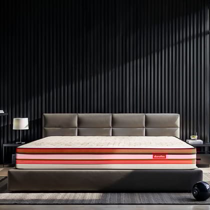 Propel Plus Pocket Spring Mattress With Euro Top-Single / 72 X 35 (1.83 m x 89 cm) / 8 (20.3 cm)
