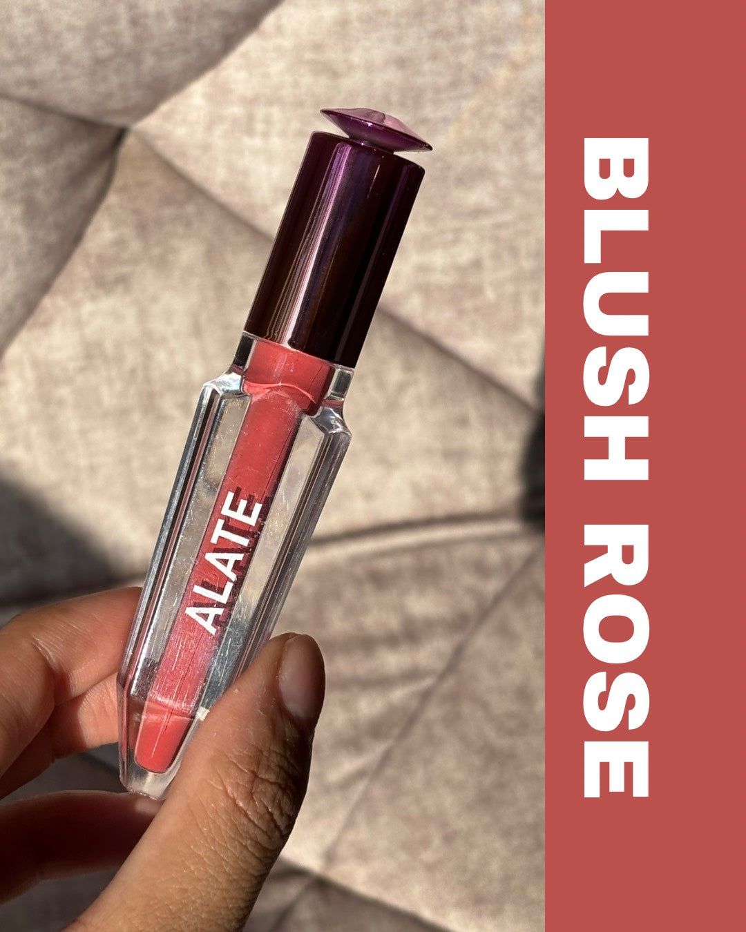 BLUSH ROSE