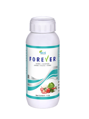 FOREVER - 500 mL