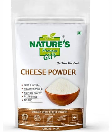Nature's Gift - 100 gm Cheese Powder (Pack of 1)