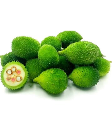 Momordica dioica Seeds for kitchen gardening Kakoda Kantola Vegetable Seeds- pack of 20 seeds