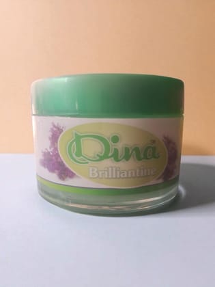 DINA VASELINE LAVENDER 175GM