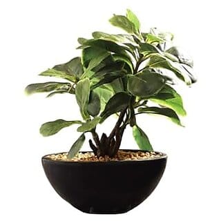 De Gardenia Fiddle Leaf with Artificial Potted Small Fake Plants for Shelf Plant in Black Ceramic Faux Plants (Size:29 cm) (Fiddle Leaf with Ceramic Pot)