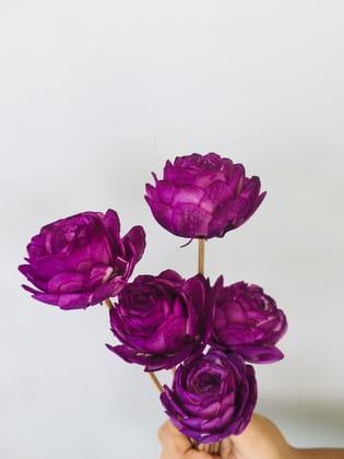 Ombre Mauve Sola Flower (5pcs)