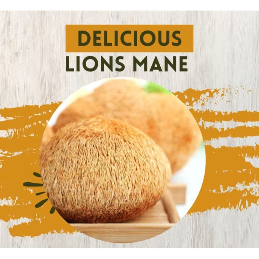Dried Lion's Mane Mushroom 50 gm - 50 gm