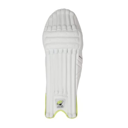 Aver Not Out 303 Cricket Batting Leg Guard