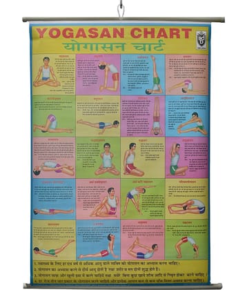 Yogasan Wall Chart Laminated Wall Chart (Size 100X75 CM) Perfect for Homeschooling, Classroom and Students