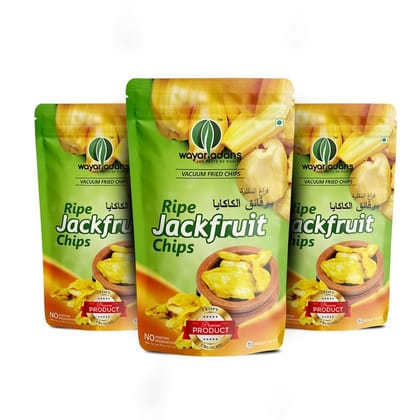 WAYANADANS Vacuum fried Ripe Jackfruit Chips (50g- Pack of 3) Vegan Friendly Snack No Artificial Flavour | Vegetable Chips I | Crispy & Tasty | Nutritious Healthy Snacks | Kathal Chips, Halasina Chips, Chakka Chips