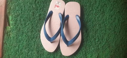 Premium Shoe Care Kit Paragon Hawai Shoe Accessories