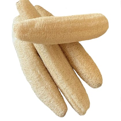 ATNAYAJ Natural Organic Loofah, Body Scrubber/Bathing Sponge for Unisex, Size: 10-12 inch