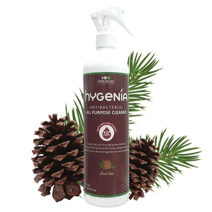 Antibacterial All Purpose Cleaner - Fresh Pine 500 ML Pack Of 2