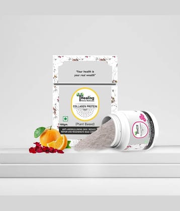 Healing Home Wellness Powder 100 Gm Pack of 1