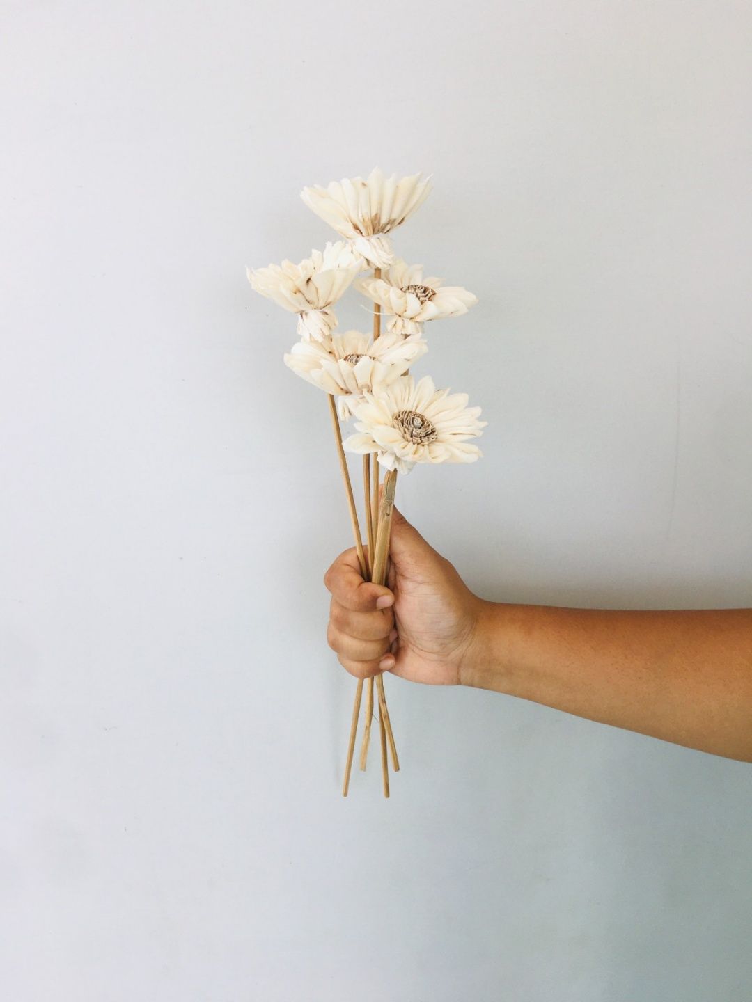 Sun Flower Sola Flower (5pcs)