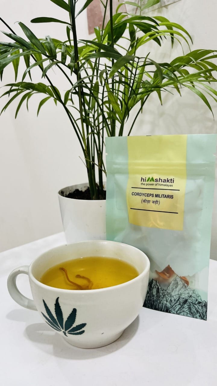 Himshakti Cordyceps Militaris (Keeda Jadi) 15gms