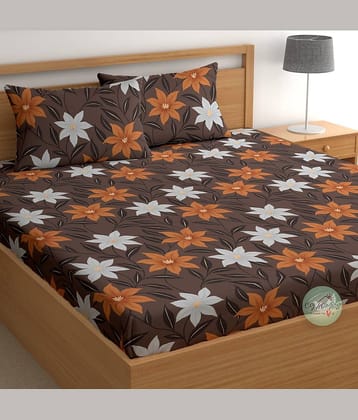 CG HOMES Cotton 1 Double Bedsheet with 2 Pillow Covers ( Brown )