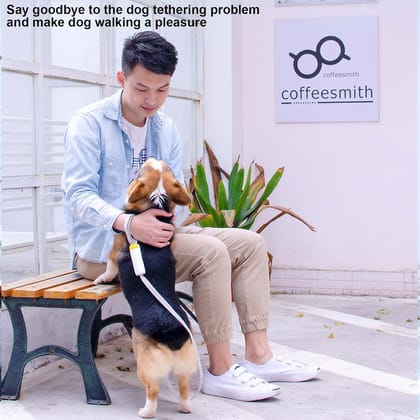 5.25ft Anti-Loss Dog Leash, Stretch, Strong & Durable Walking Leash for Small Medium Dogs-Black