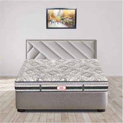 Coirfit Memospa Orthopedic Euro Top With SRTX Technology 6 Inch Double Size Memory Foam Mattress (72X48 Inches), Rebonded Foam Backcare,All Side Quilted,Soft Relax Comfort |15-Year Warranty