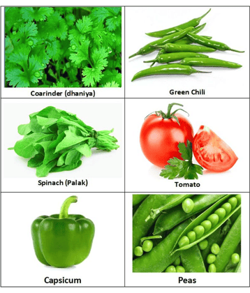 Zonato - Easy Planting - Combo pack of 6 Green Hybrid All Season growing Vegetables {Coriander(Dhaniya), Green Chilli, Spinach (Palak),Tomato, Capsicum & Peas} 1 pack Of more than 200 Seeds