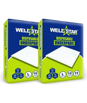 Wellstar Large 20 Pcs Pack of 2