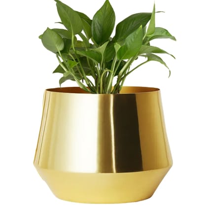 Alice JR Gold Metal Plant Pot-Gold / 1
