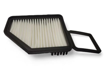 Uno Minda Air Filter AF4149PM