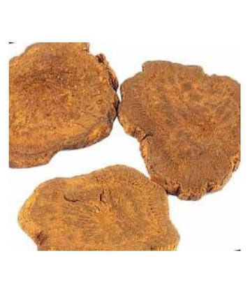 VINARGHYA PHARMACEUTICALS REVANCHINI / INDIAN RHUBARB / RAWASH Raw Herbs 100 gm Pack Of 1