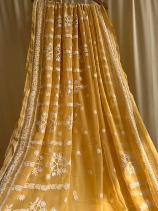 Georgette Chikankari saree in Beige-Beige