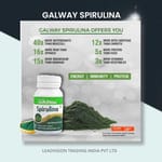 Maa Pattakhanda Veriety Palace