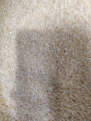 Basmati rice