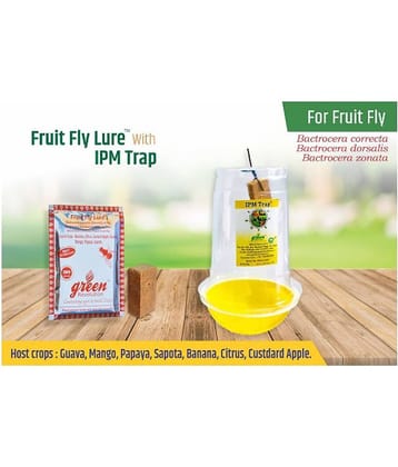 Combo Pack of IPM Trap with Fruit Fly Pheromone lure For controlling all bactrocera correcta, Bactrocera dorsalis, Bactrocera Zonata  Pack of 10, Complete for 1 Acre.