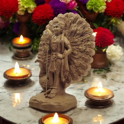 AMS Palani Murugan Idol Hindu God Subramanya Swamy Decorative Statue for Home Decor Pooja Prayer Spiritual Showpiece & Gifts Resin, 28 cm