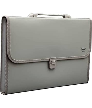 banistrokes Grey File Folder ( Pack of 1 )
