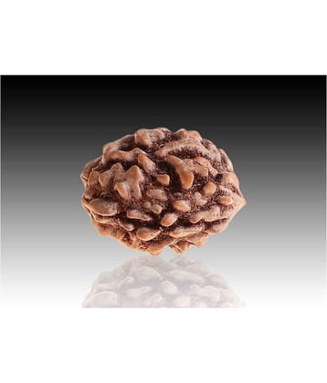 RUDRA DIVINE - Brown Pendant ( Pack of 1 )
