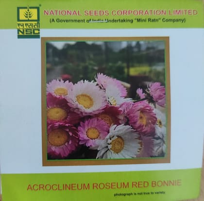 NSC  Acroclineum Roseum Red Bonnie Flower Seed