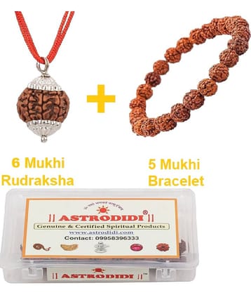 Nepali 6 Mukhi Rudraksha Pendant with 5 Mukhi Rudraksha Bracelet