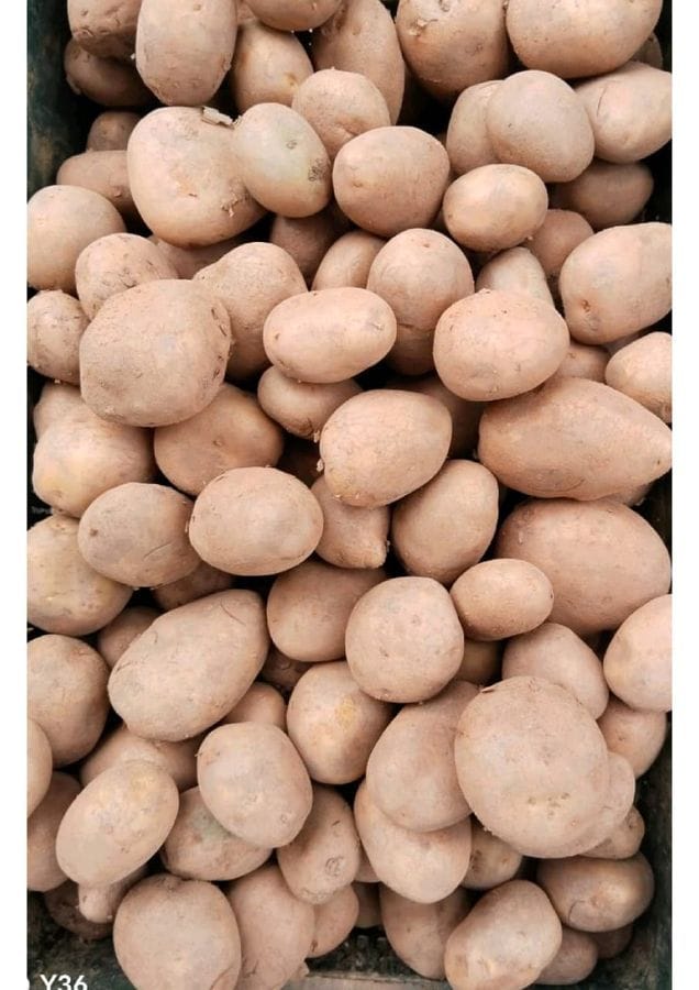 Potato - 1 kg