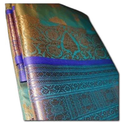 Elegant Embroidered Indian Saree