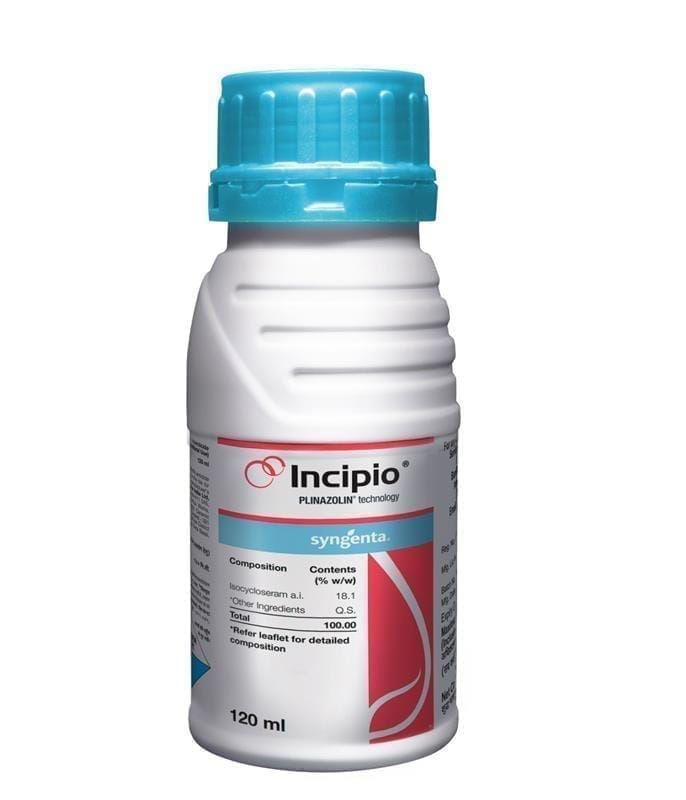 Incipio