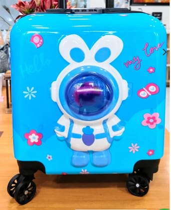 Trolley suitcase /trolley bag for kids