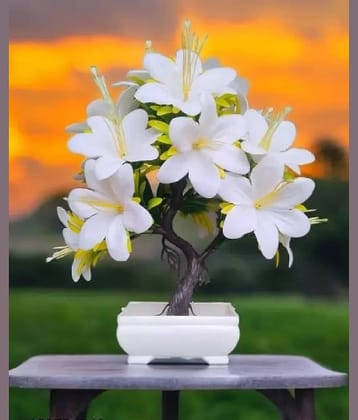 KanRaj - White Lily Artificial Flower ( Pack of 1 )