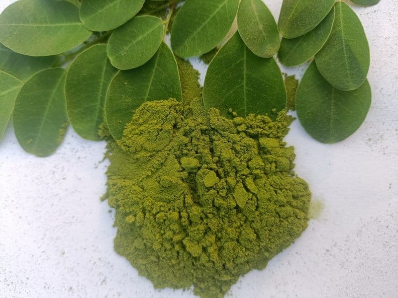 Moringa Powder – 100% Natural, Immunity Booster – 100g | By Shree Hari Agritech