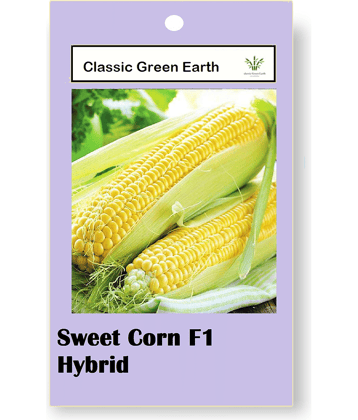 CLASSIC GREEN EARTH - Vegetable Seeds ( gd )