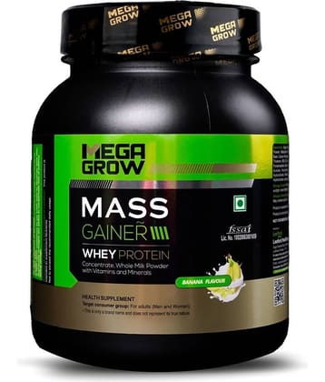 Megagrow Mass Gainer powder - Banana Flavor, High-Calorie Whey Protein (1kg, 10 Servings)