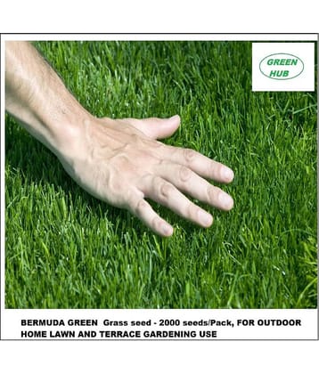 BERMUDA GREEN Grass seed - 2000 seeds/Pack, FOR OUTDOOR HOME LAWN AND TERRACE GARDENING USE Instruction Manual Inside Package