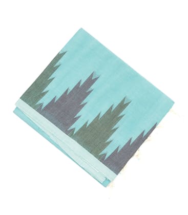 Light Blue Handloom Rasipuram Cotton Saree With Temple Border-Light Blue