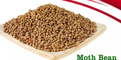 Kodli Kisan Moth Bean  1kg | Protein-Rich, Unpolished & Naturally Grown Lentil